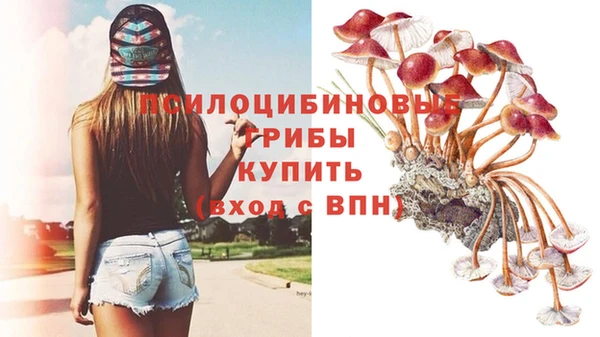 ешки Богородск