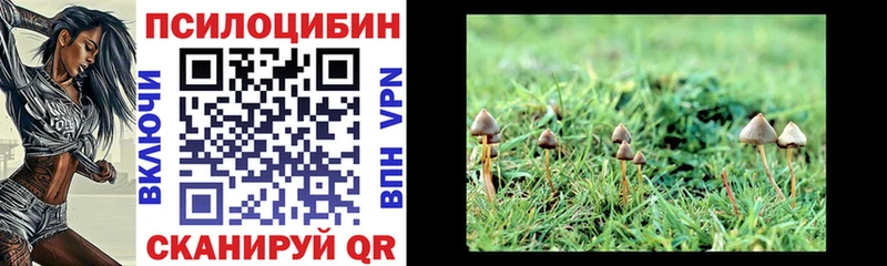 Псилоцибиновые грибы ЛСД Одинцово
